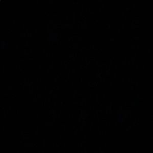 Meet your Posher, Darrick